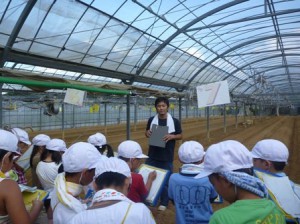 小学生3年