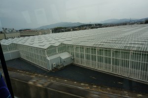 DSC03640